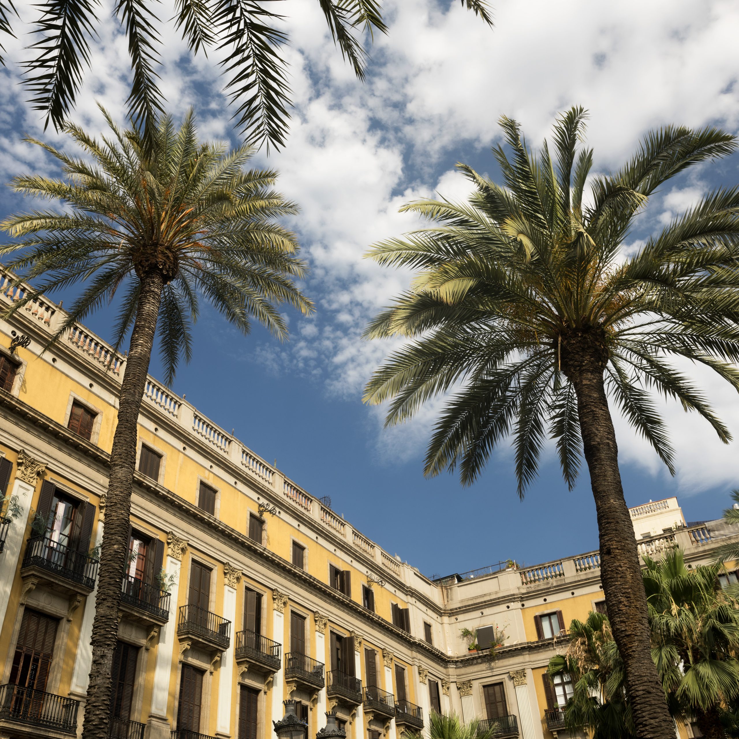 <span>Placa Reial