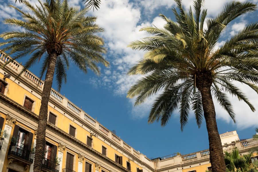 6-Hour Barcelona Tour: History, Art & Panoramic Views