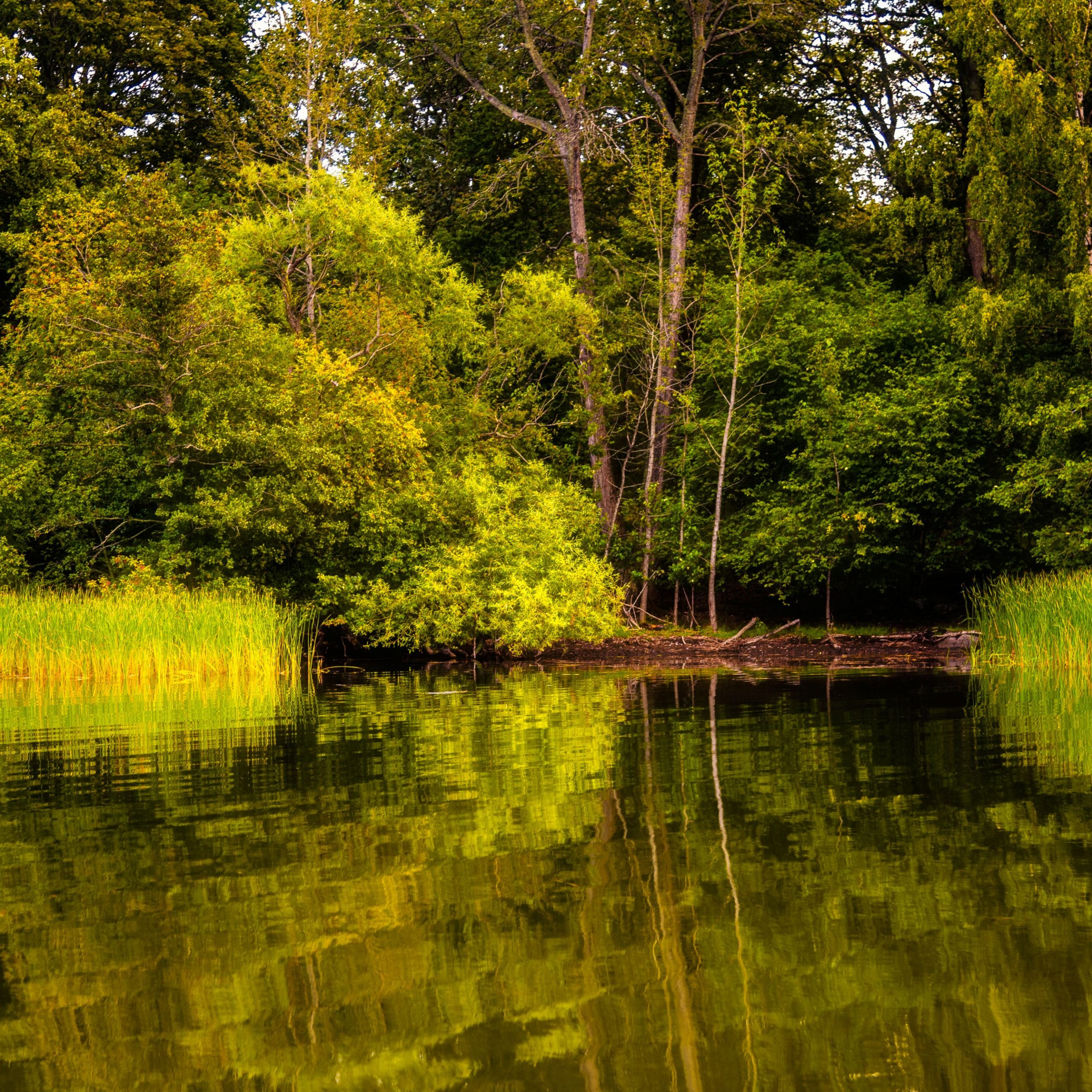<span>Djurgarden Island