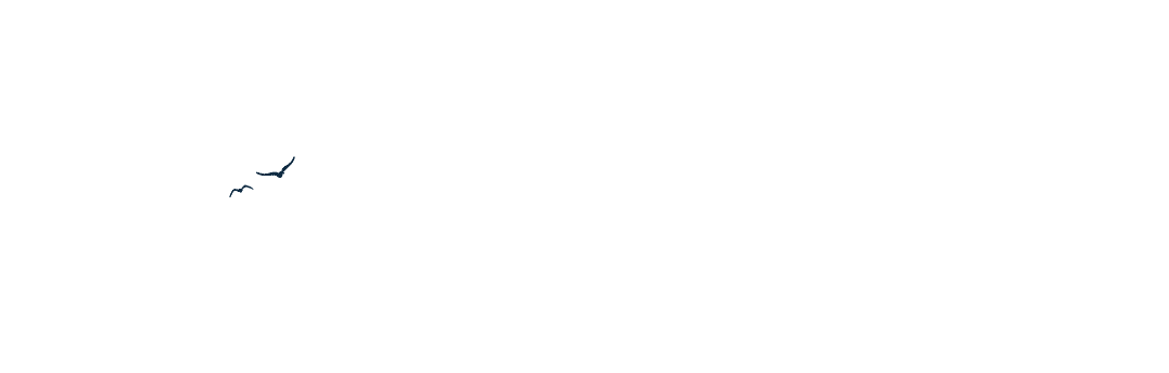 Full Logo 1 white e1752866581149